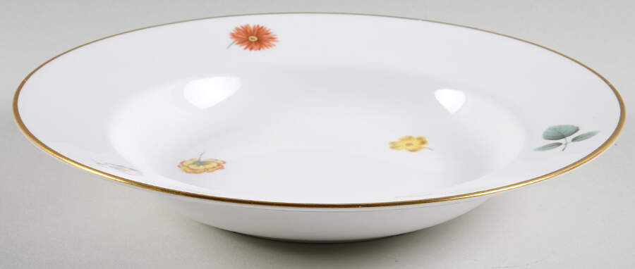 Astor Large Rim Soup Bowl by Spode-1
