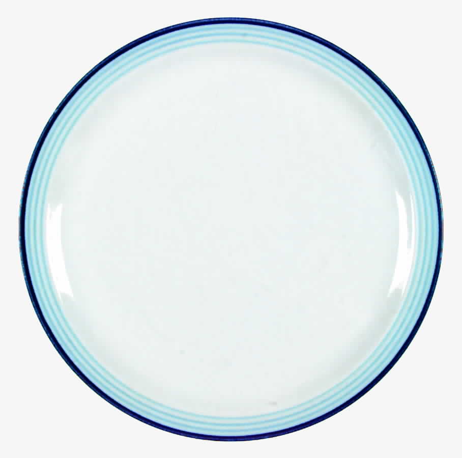 Vista Blue Dinner Plate by Studio Nova-1