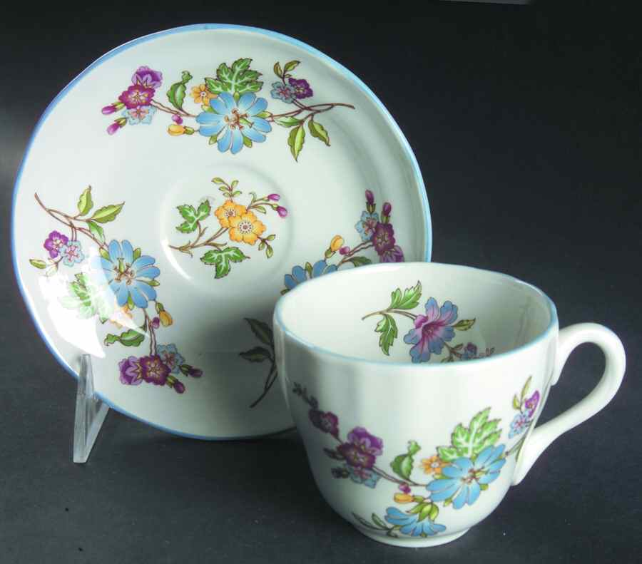 Sylvan Flat Cup & Saucer Set by Spode-1