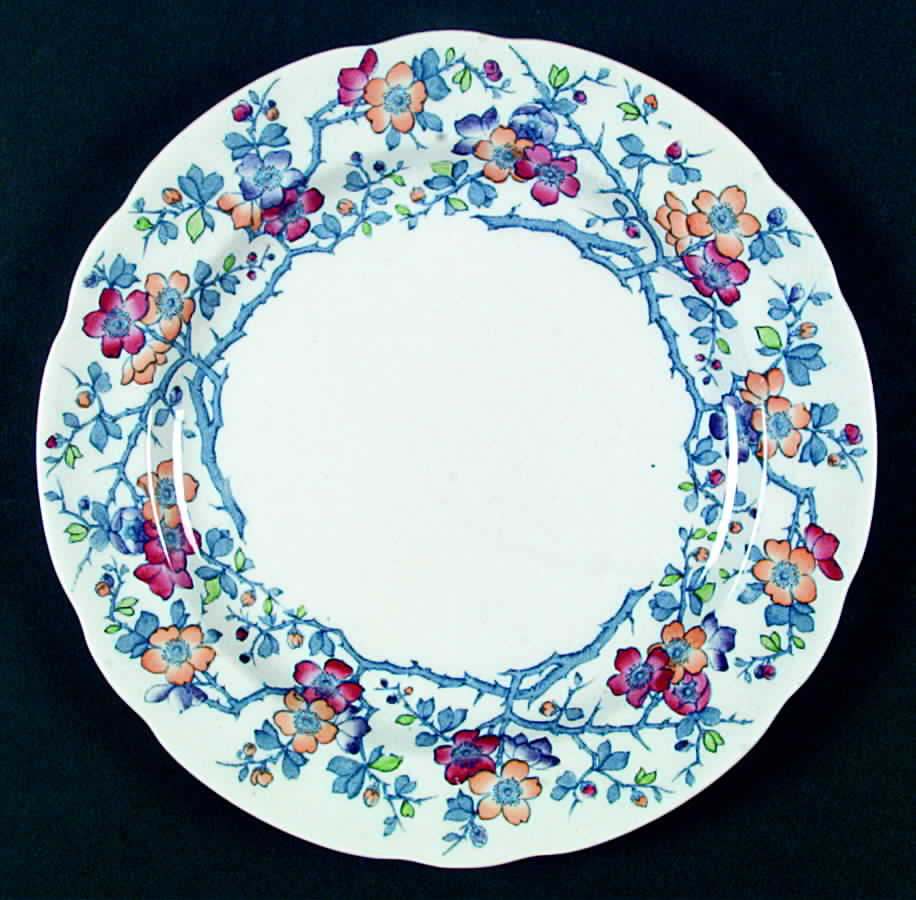 SP176 Dinner Plate by Spode-1