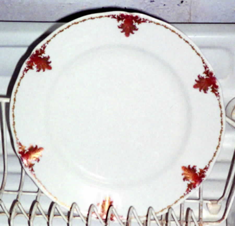SY387 Dinner Plate by Syracuse-1