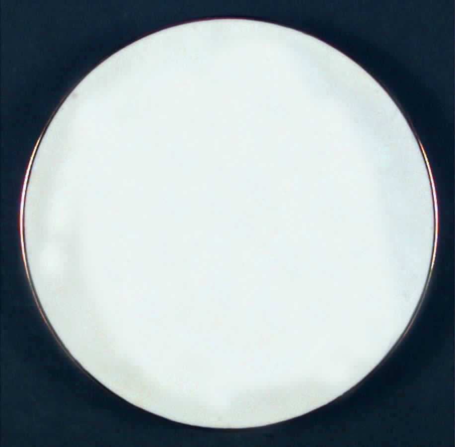 SLT162 Salad Plate by Seltmann-1