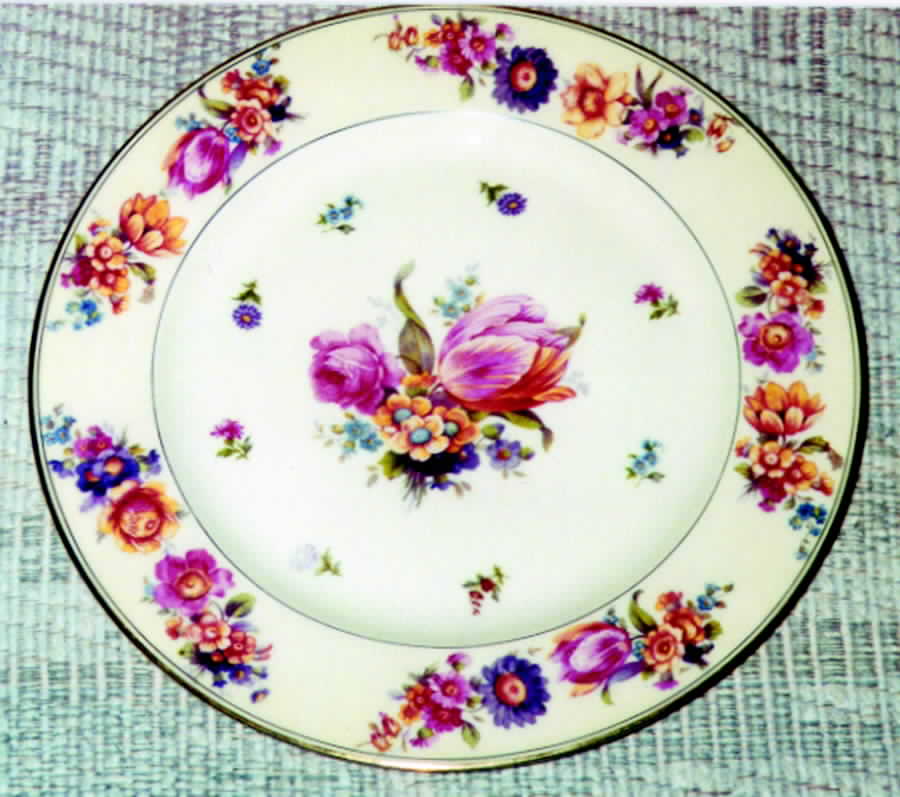 HCZ241 Dinner Plate by Haas-Czjzek Coronado-1