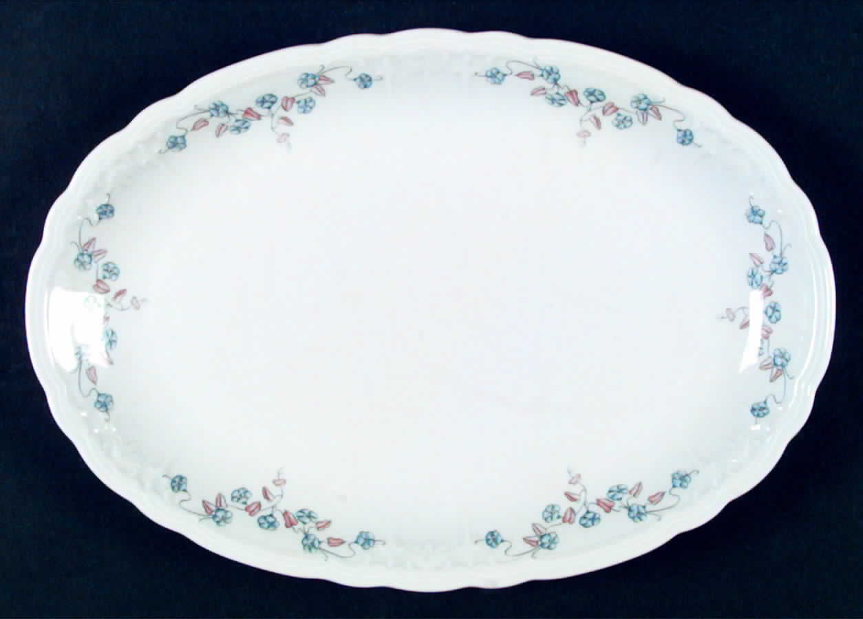 SLT164 14" Oval Serving Platter by Seltmann-1