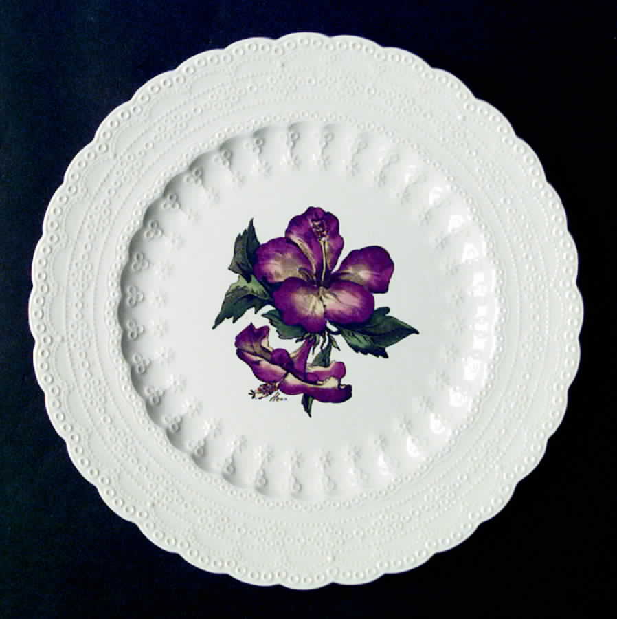 Bermuda Flowers Luncheon Plate by Spode-1