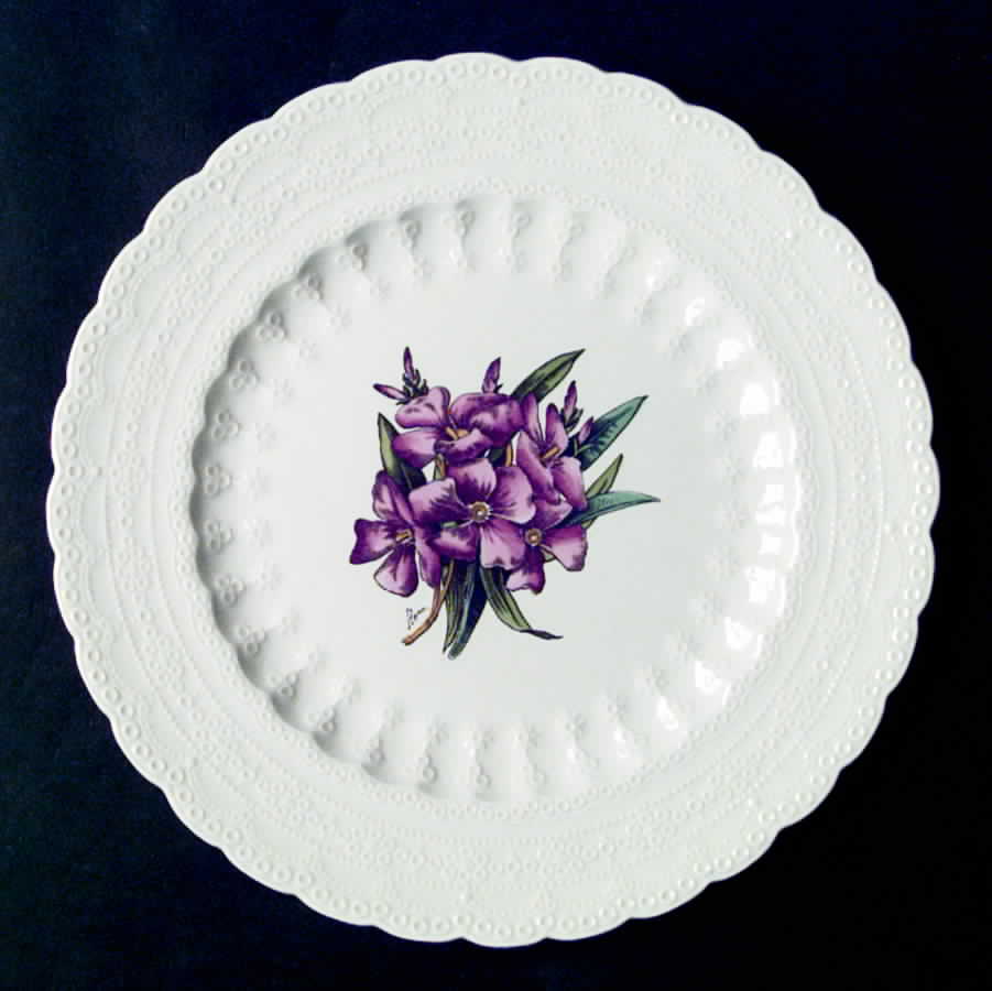 Bermuda Flowers Luncheon Plate by Spode-1