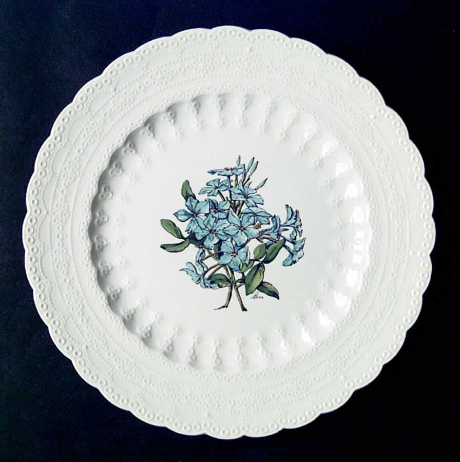Bermuda Flowers Luncheon Plate by Spode-1