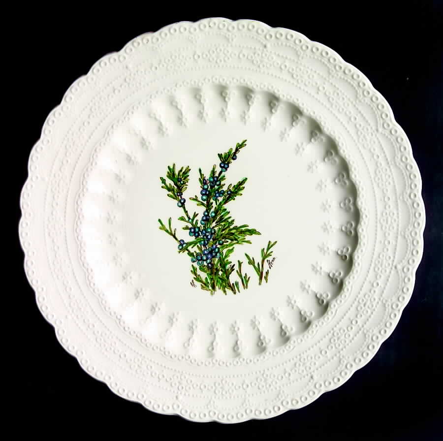 Bermuda Flowers Luncheon Plate by Spode-1