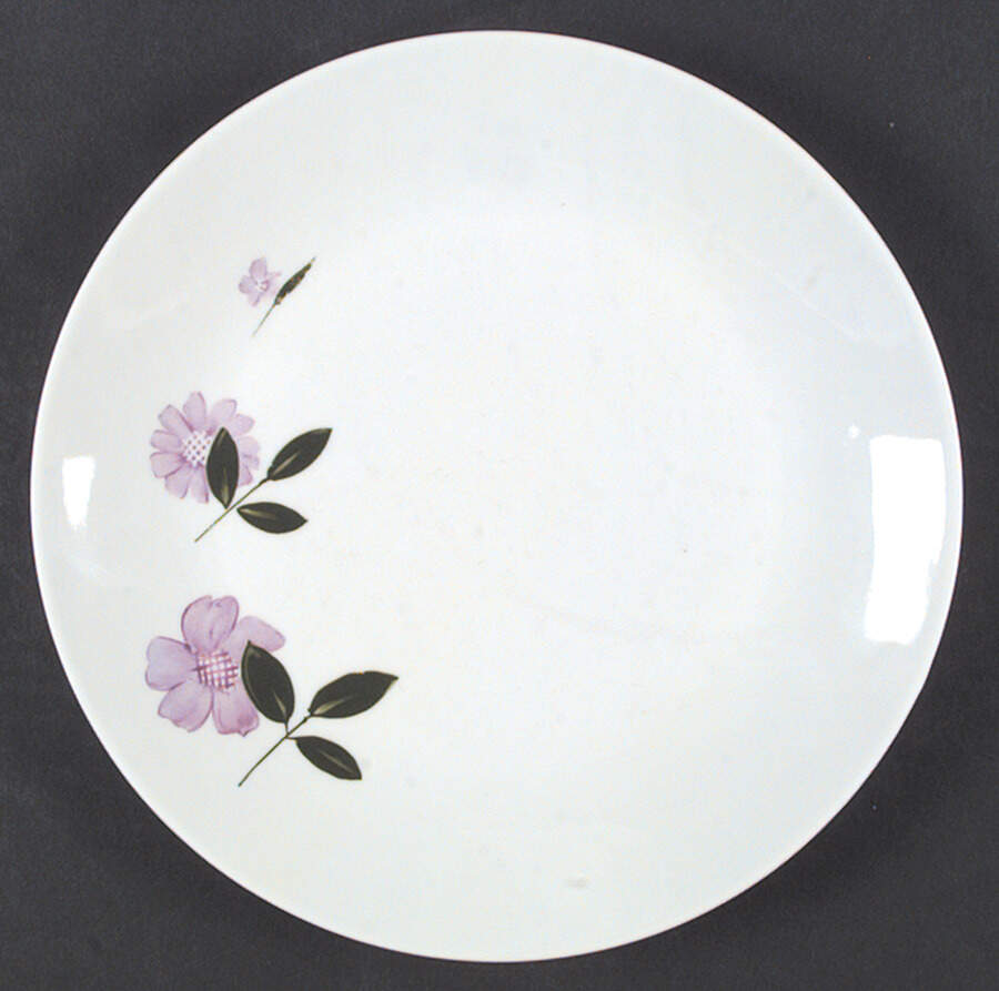 SCG16 Dinner Plate by Schirnding-1