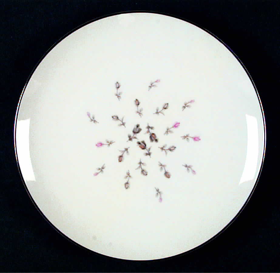 STH10 Salad Plate by Style House-1