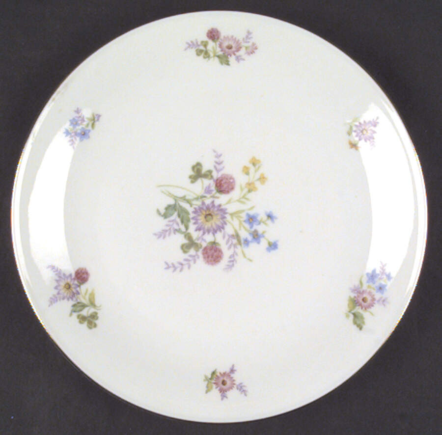 SLT167 Salad Plate by Seltmann-1