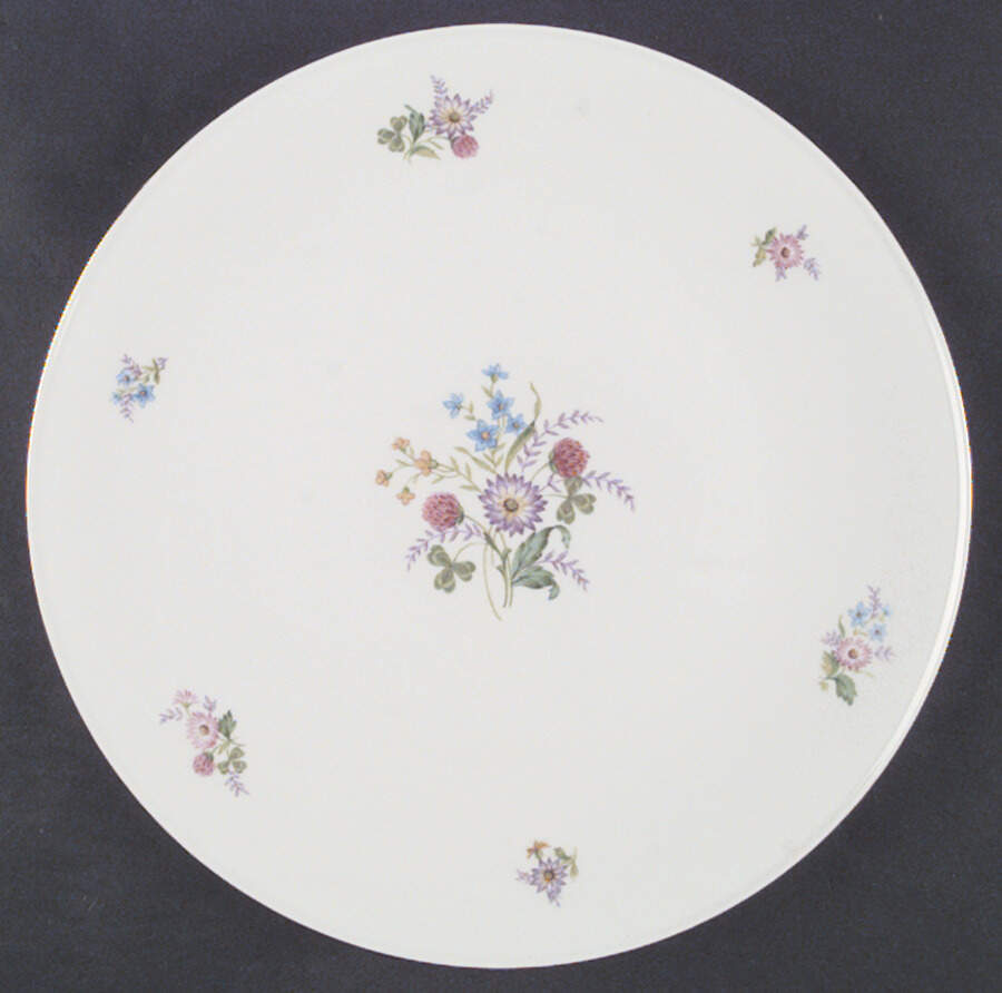 SLT167 Dinner Plate by Seltmann-1