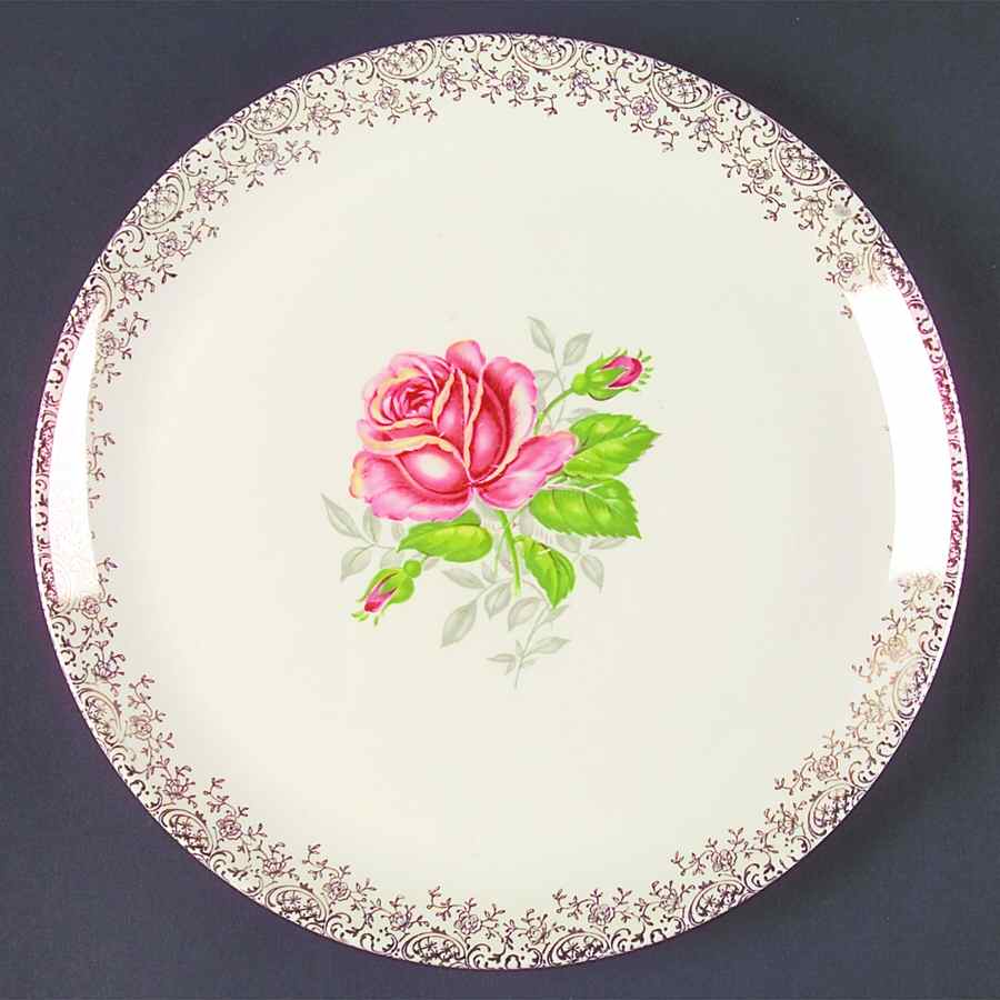 SLM174 Dinner Plate by Salem-1