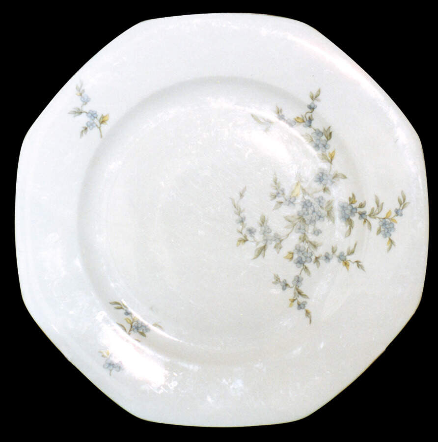 SLT171 Dinner Plate by Seltmann-1
