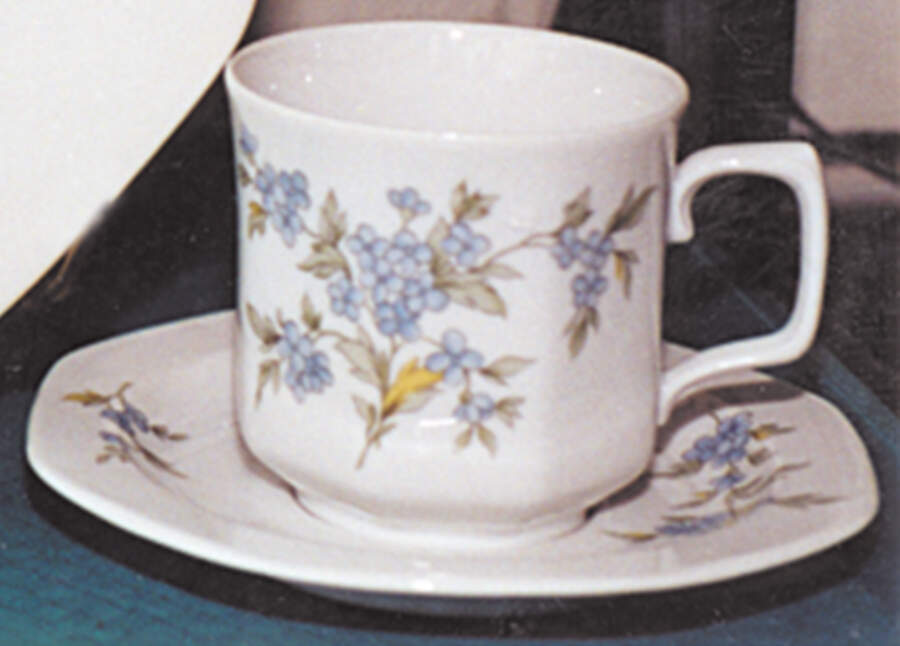 SLT171 Footed Cup & Saucer Set by Seltmann-1