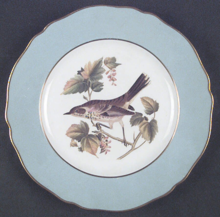 Y6919 Salad Plate by Spode-1