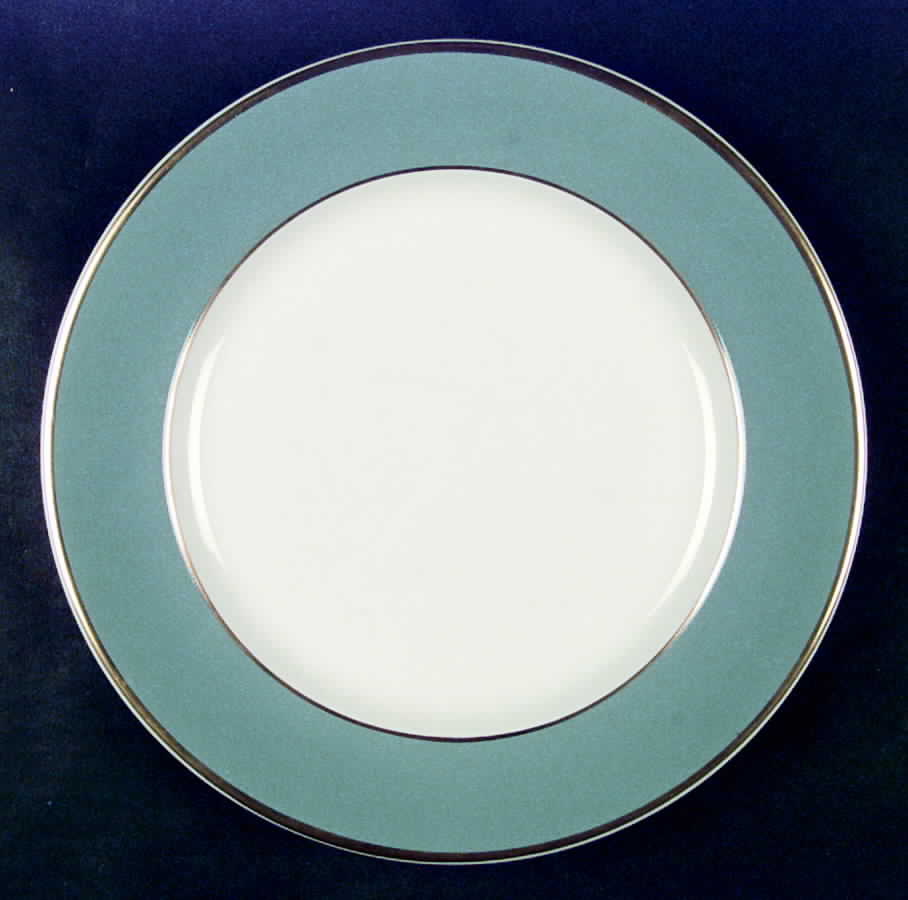 SY394 Dinner Plate by Syracuse-1