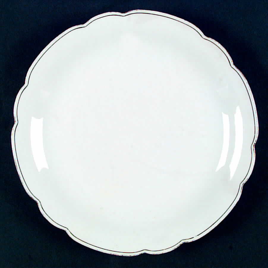 SLT174 Dinner Plate by Seltmann-1