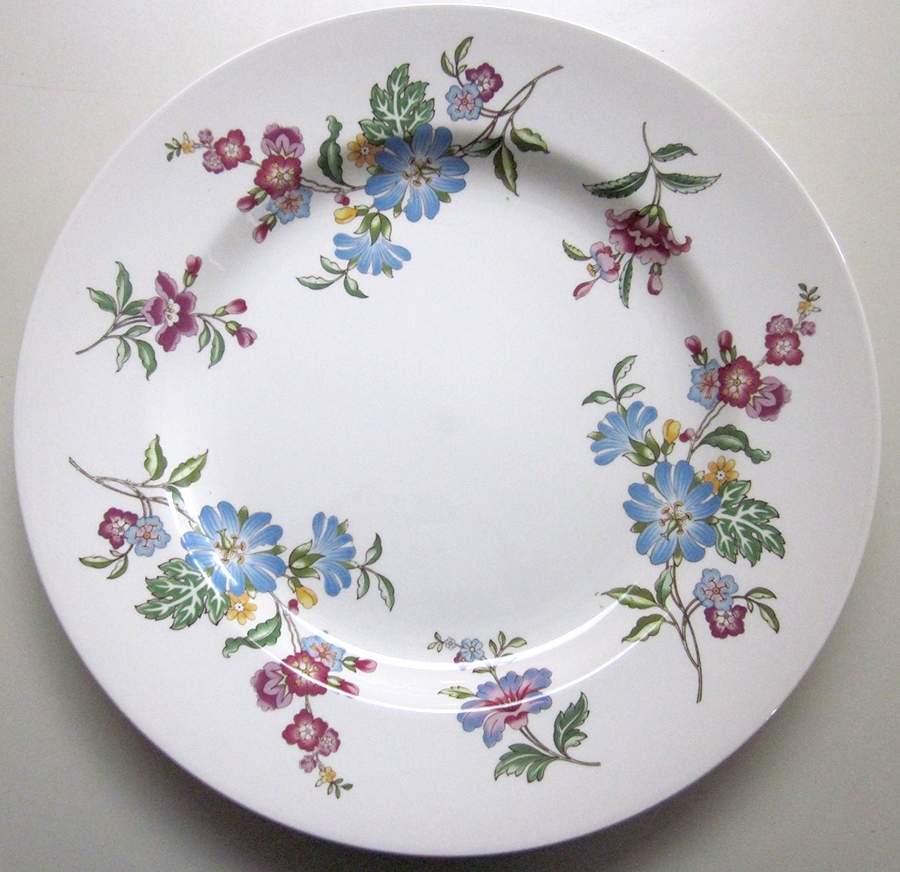 SP189 Dinner Plate by Spode-1
