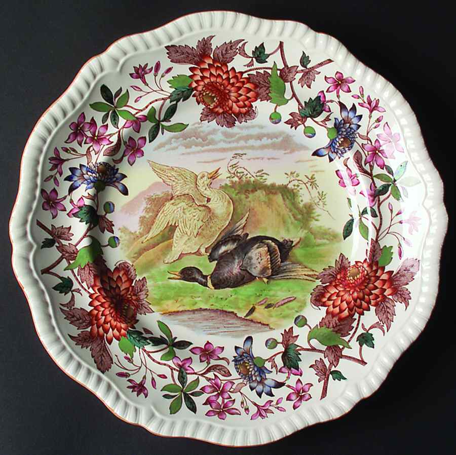 Game Series (Mustard Trim) Dinner Plate by Spode-1