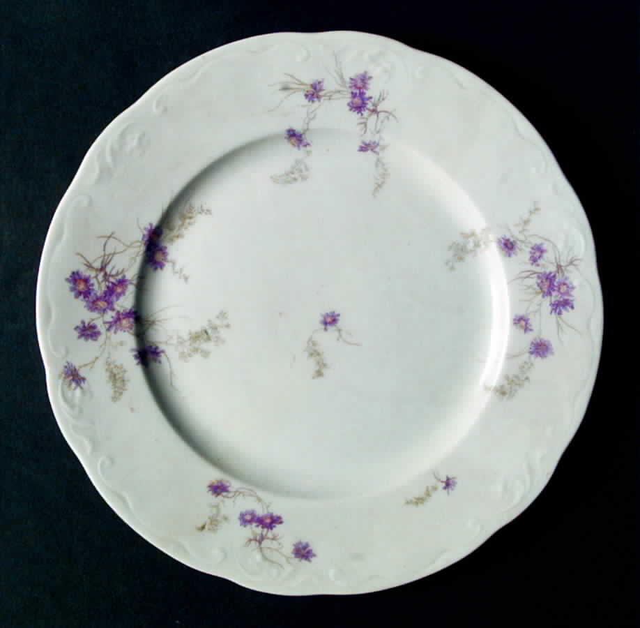 SY396 Dinner Plate by Syracuse-1