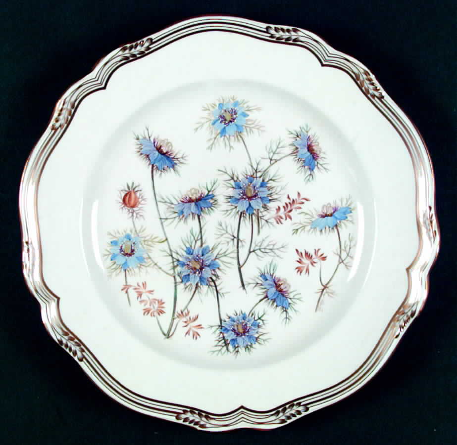 Love In A Mist Dinner Plate by Spode-1