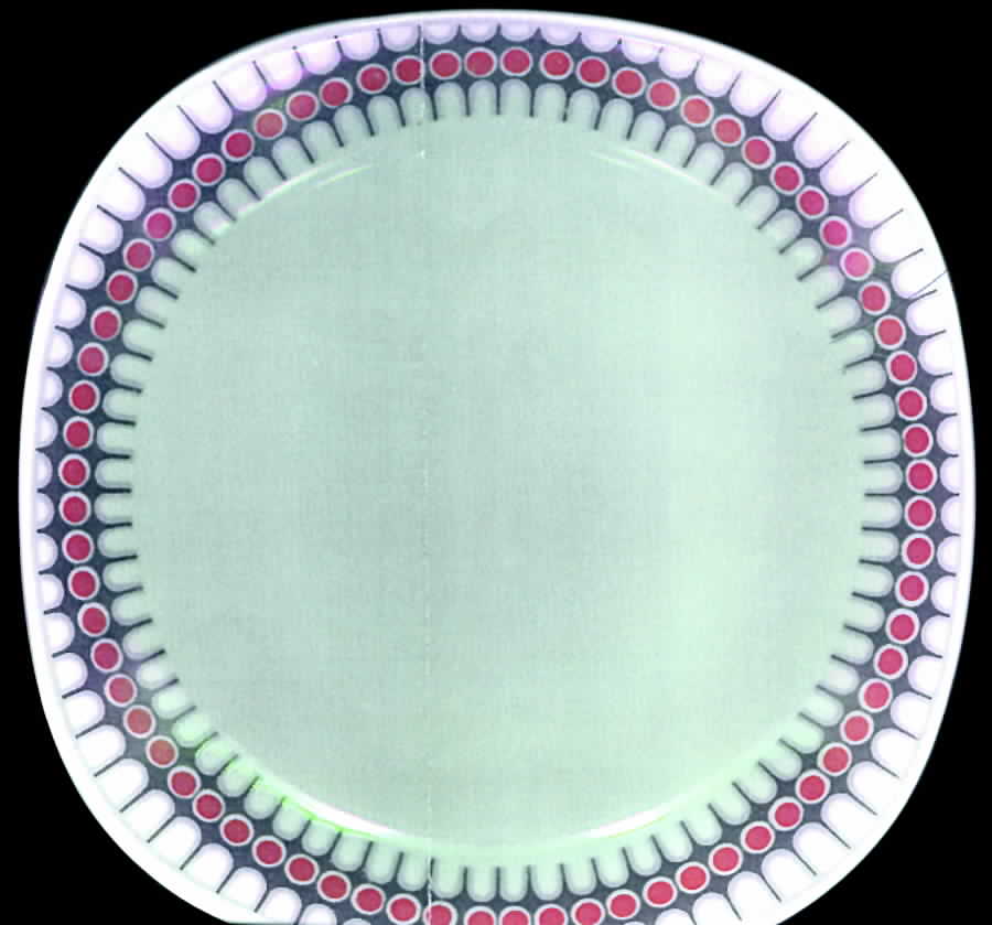 SCG17 Dessert/Pie Plate by Schirnding-1