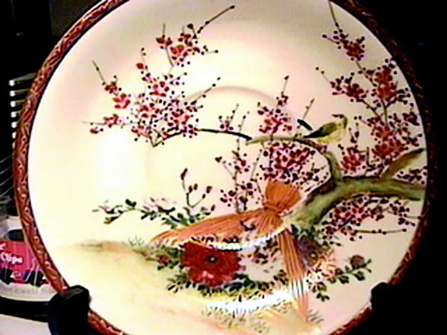 SOK5 Saucer by Soko-1