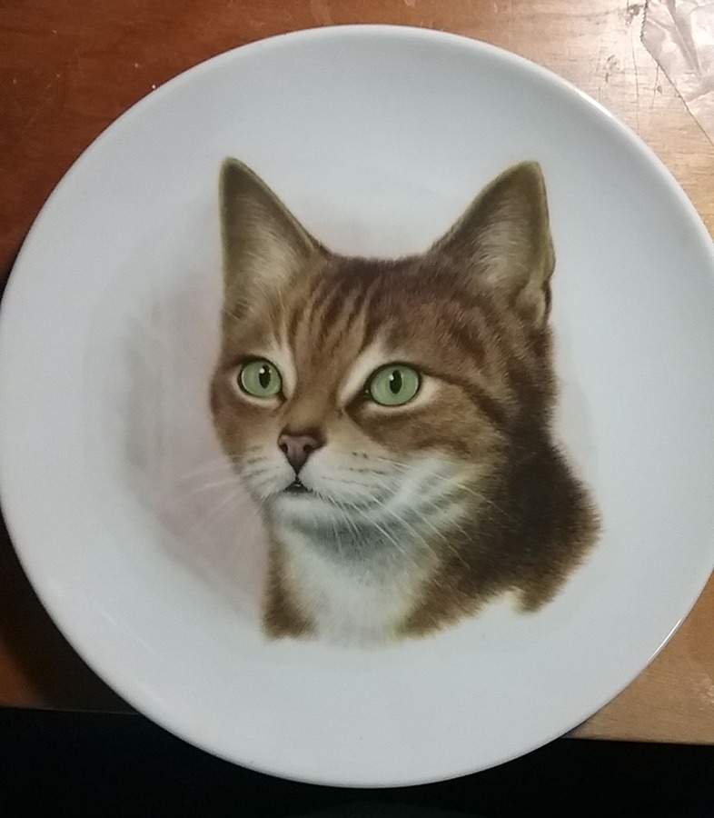 SCH232 Salad Plate by Schumann - Bavaria-1