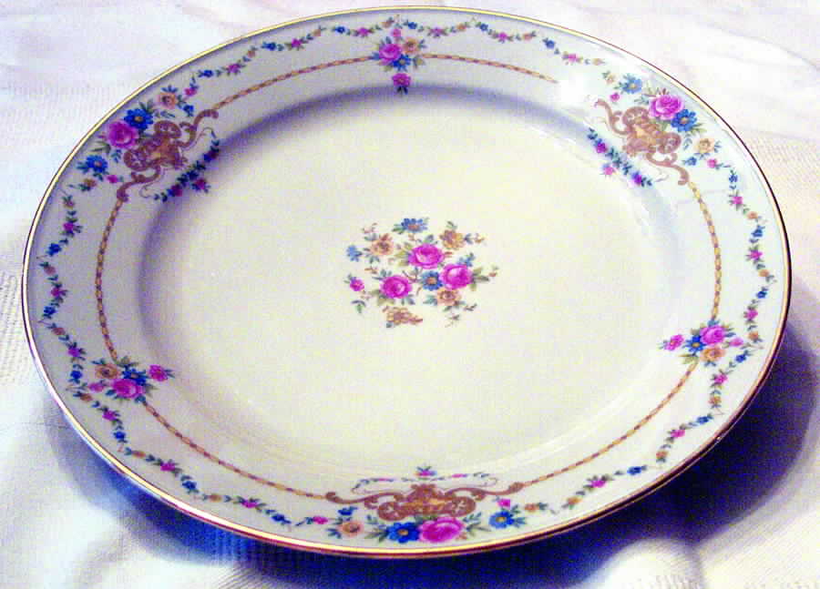 SCR49 Dinner Plate by Scherzer-1