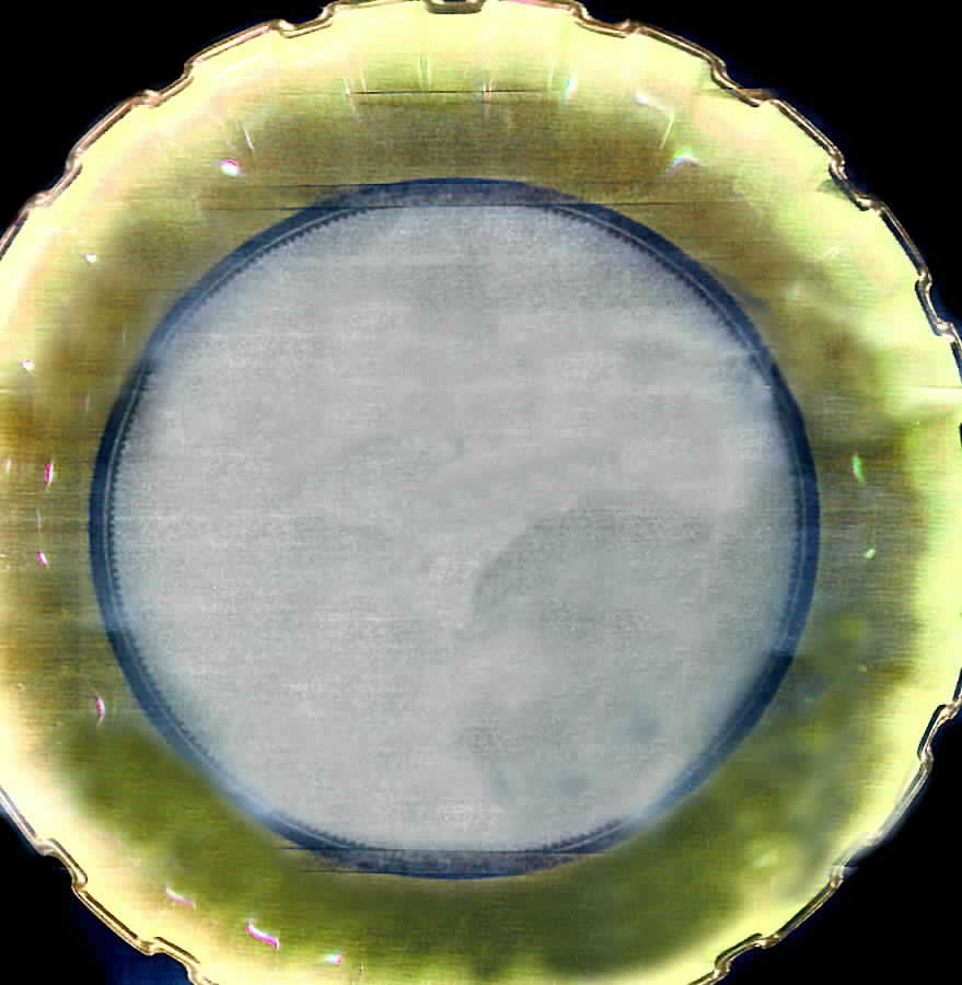 C2149 Dessert/Pie Plate by Spode-1