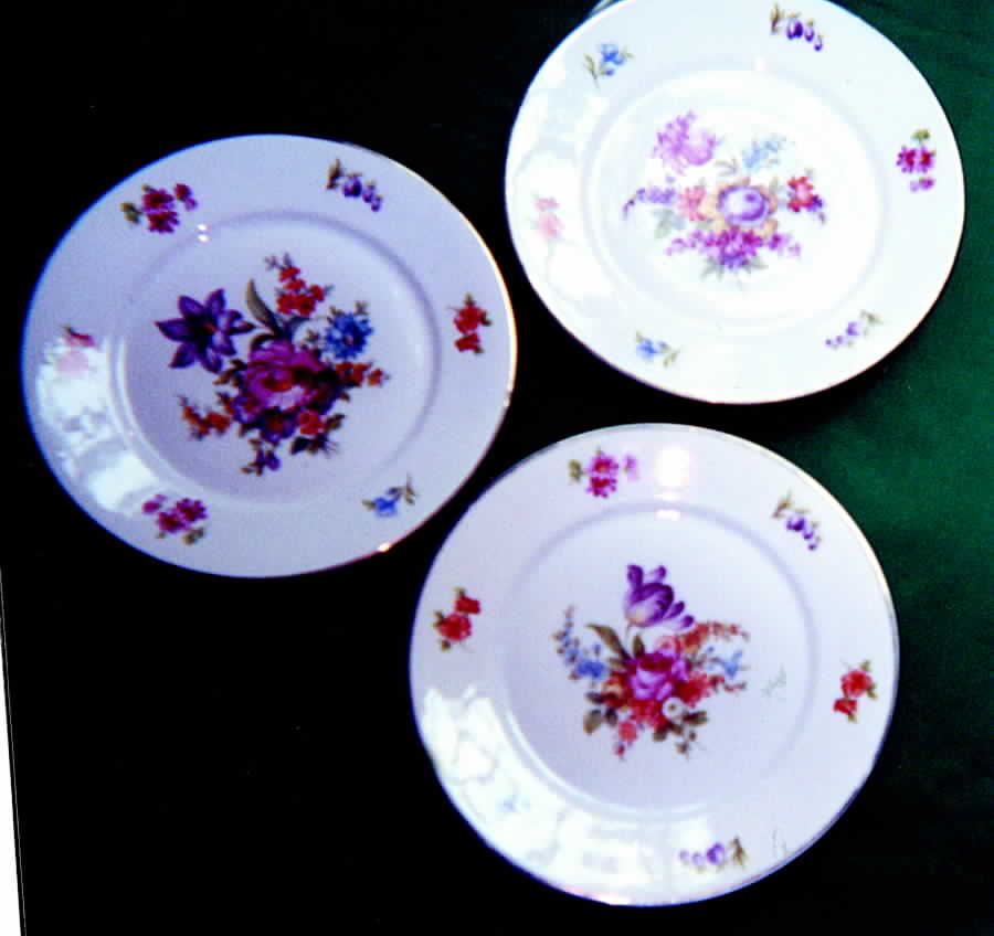 SCH234 Salad Plate by Schumann - Bavaria-1