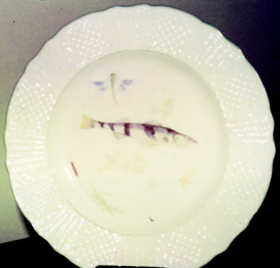 SIM13 Dinner Plate by Simpsons-1