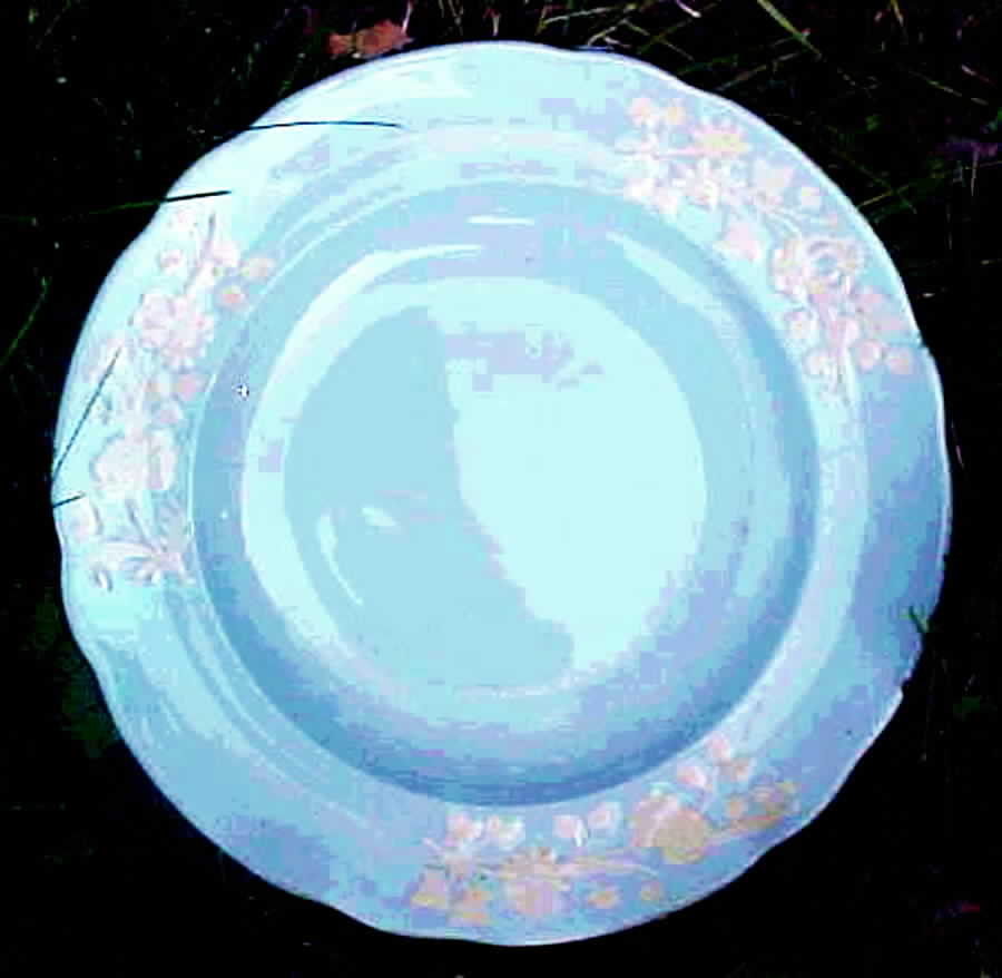 R9883 Dinner Plate by Spode-1