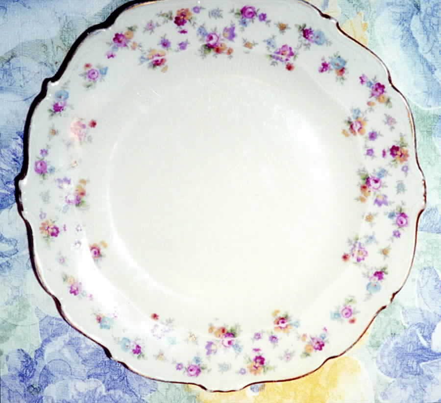 SCG18 Dinner Plate by Schirnding-1