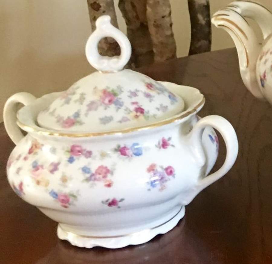SCG18 Sugar Bowl & Lid by Schirnding-1