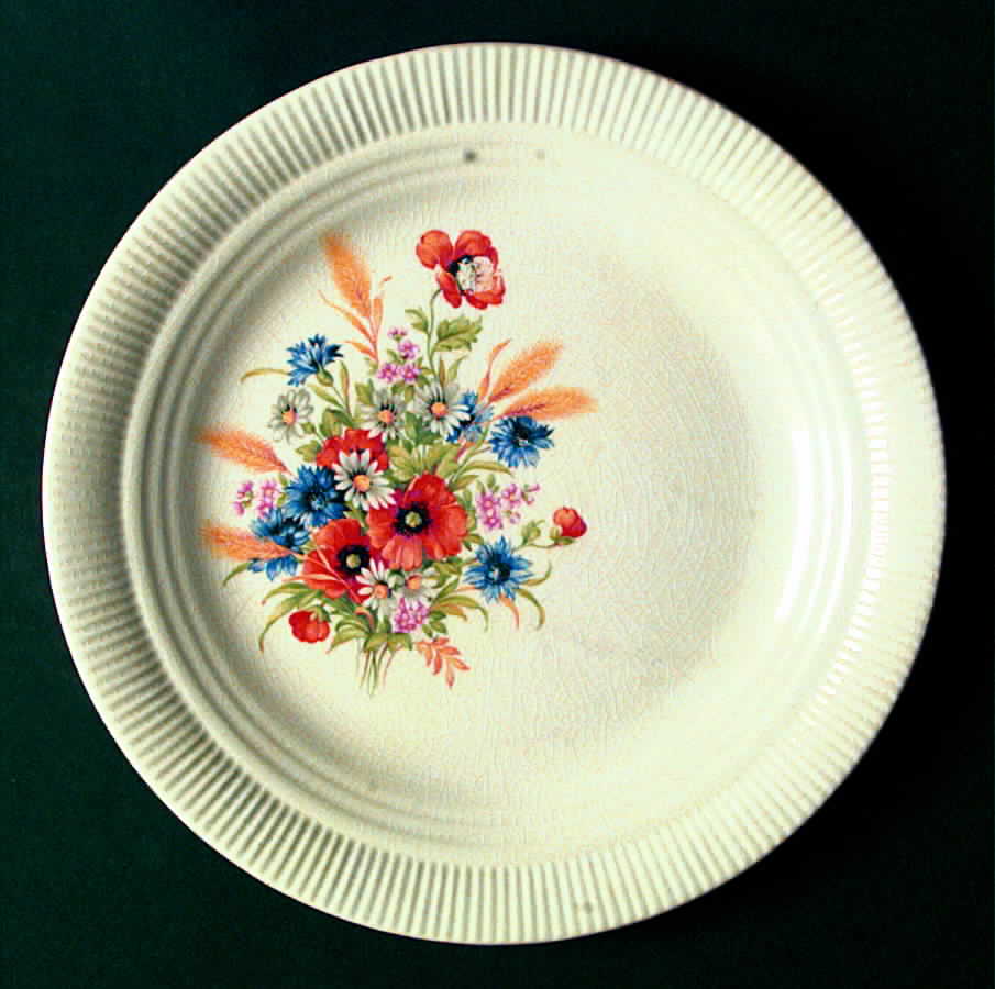 Dominion Dinner Plate by Salem-1