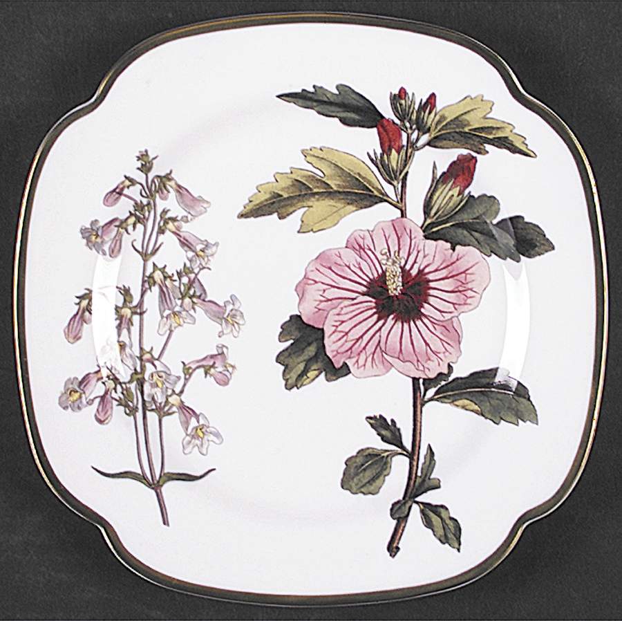 Burgess Botanical Square Salad Plate by Spode-1