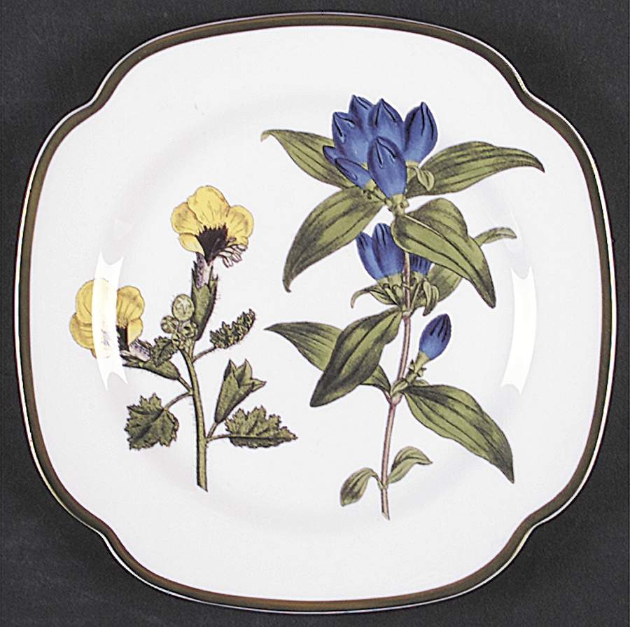 Burgess Botanical Square Salad Plate by Spode-1