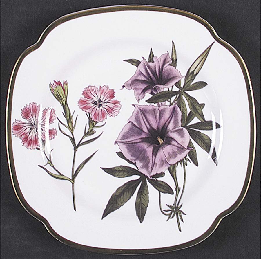 Burgess Botanical Square Salad Plate by Spode-1