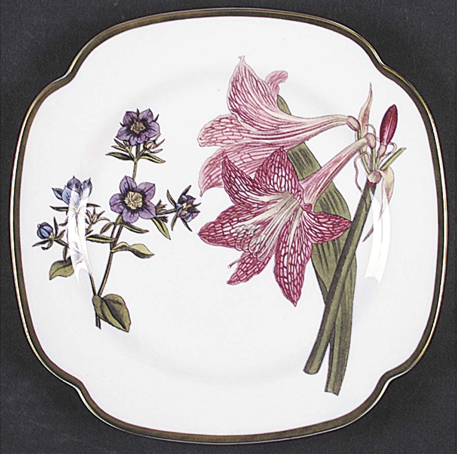 Burgess Botanical Square Salad Plate by Spode-1