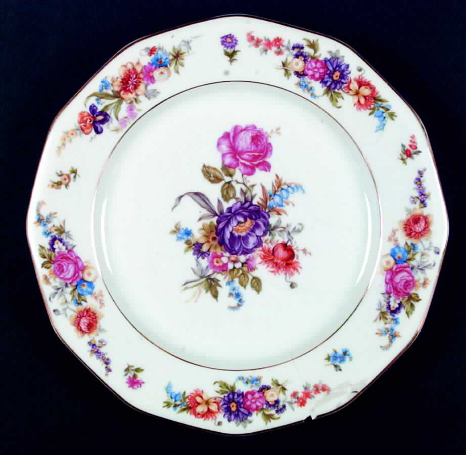 HCZ241 Dinner Plate by Haas-Czjzek Coronado-1