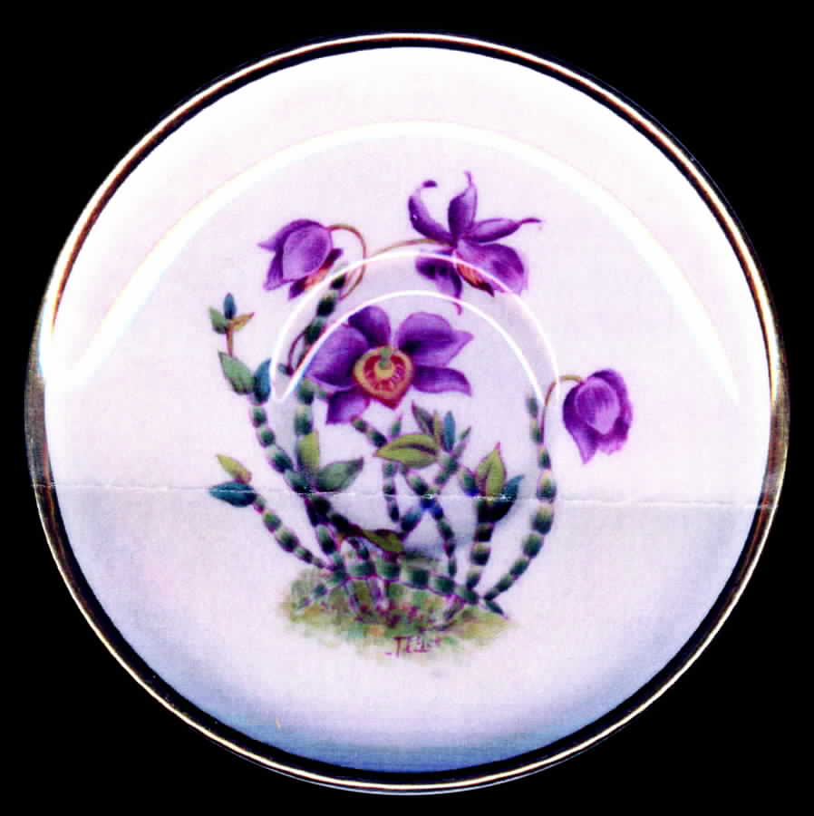 Y5552 (Smooth) Saucer by Spode-1
