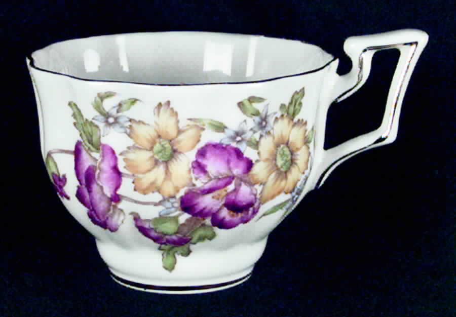 F2443 Flat Cup by Salisbury-1