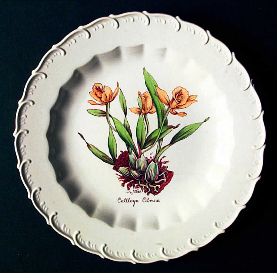 S-3239 Luncheon Plate by Spode-1