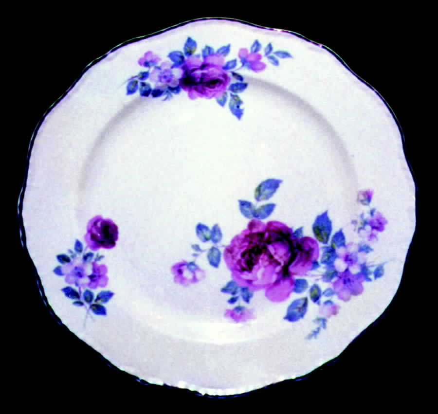 STB193 Dinner Plate by Steubenville-1