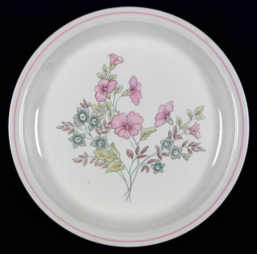 SPD7 Dinner Plate by Staffordshire Pottery-1