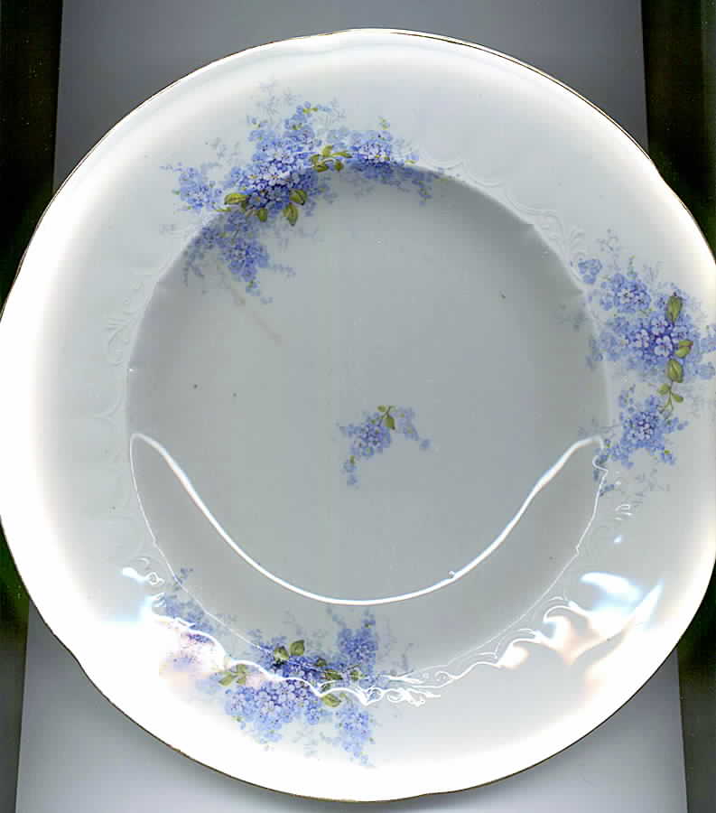 SVR2 Dinner Plate by Sevres (USA)-1