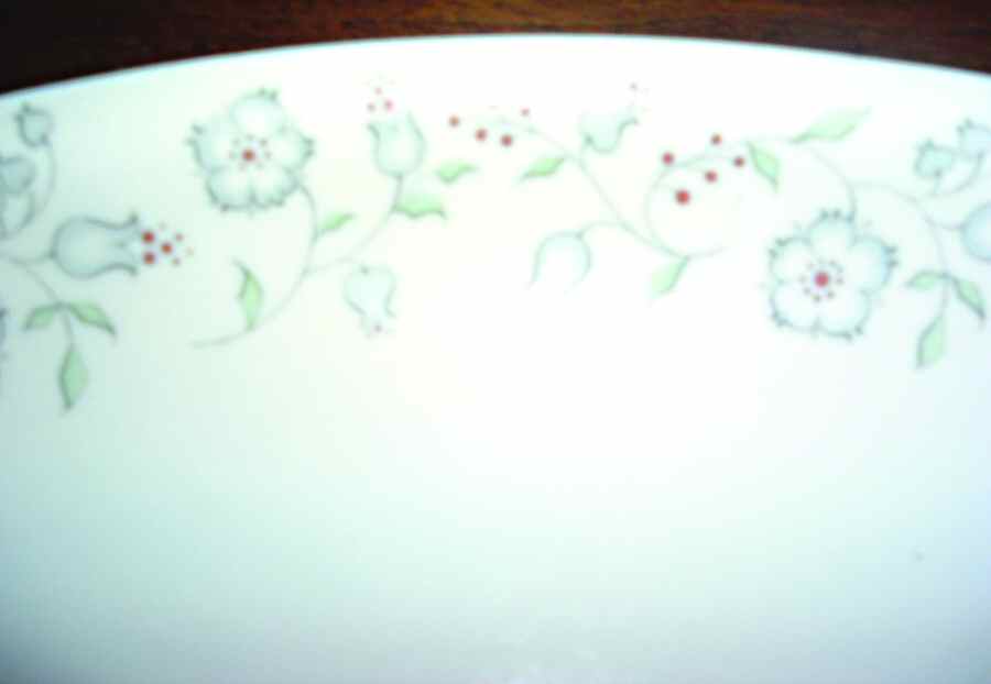 SLT183 14" Oval Serving Platter by Seltmann-1