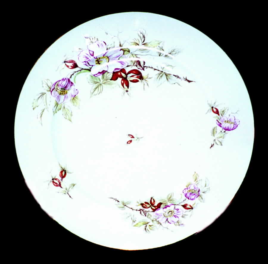 Gloria Dinner Plate by Scherzer-1